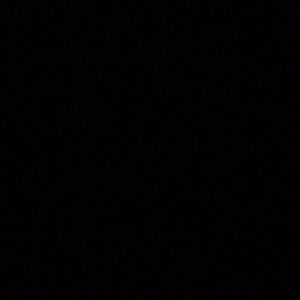 Meet your Posher, Bailey